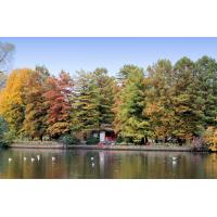 6472 Herbstbäume auf der Liebesinsel im Hamburger Stadtparksee. | 